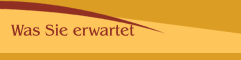 Was Sie erwartet