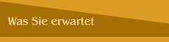 Was Sie erwartet